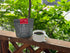 JAS Organic Rwanda Mikoff